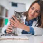 How to Get the Most Out of Your First Visit to the Vet Clinic