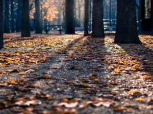 How Depression Can be Treated